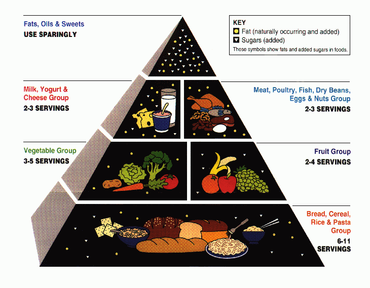 USDA-Food-Pyramid