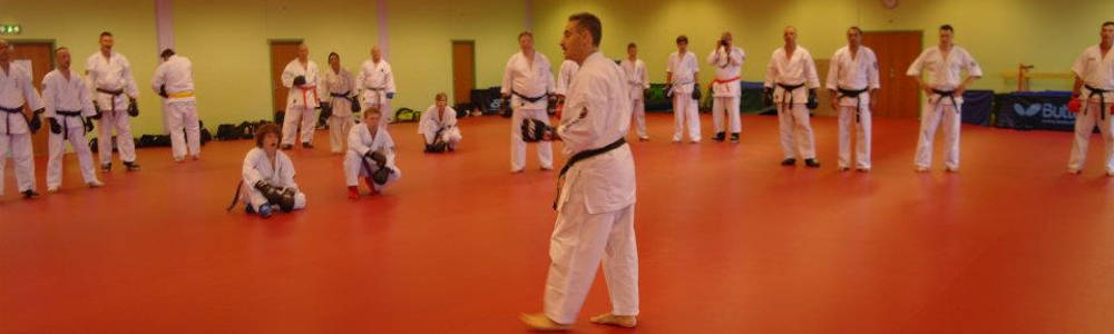 Albert Mady Teaching