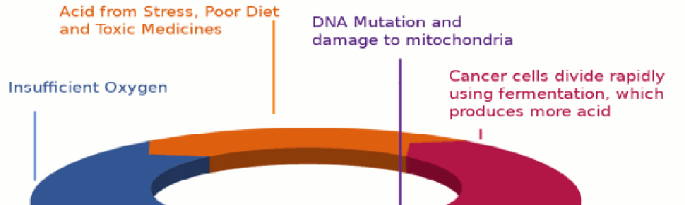 Cancer cycle