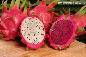 Dragon Fruit