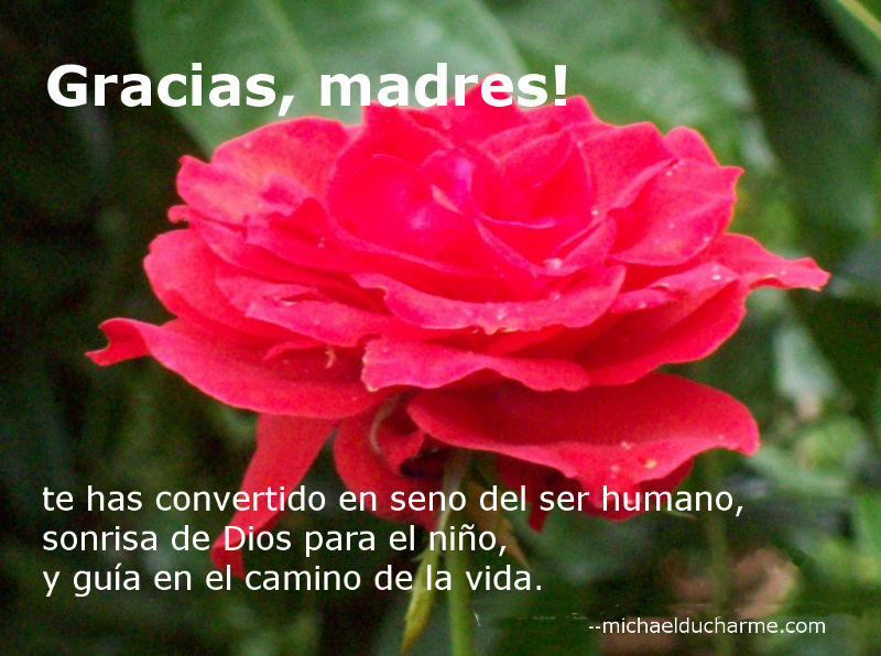 Gracias, madres