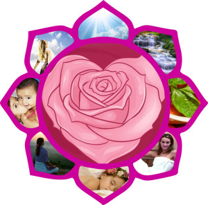 Vida Lotus 9 part system for wellness summary