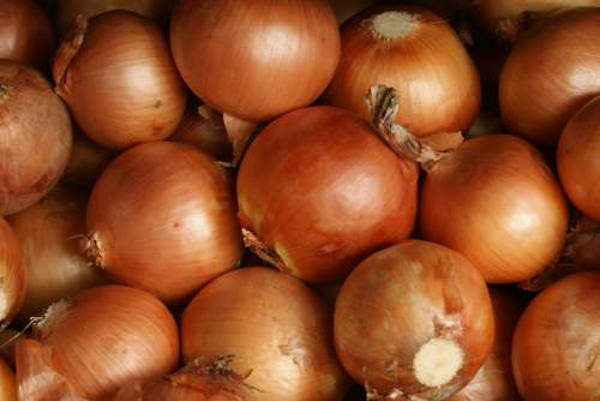 onions - cebolla