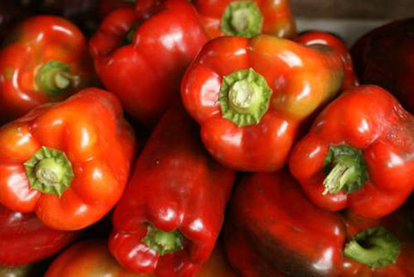 red bell peppers - pimentones rojos