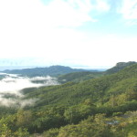 View from Lotus Garden