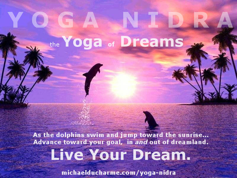 Yoga NidraL Dolphins Swimming and Jumping towards the Sunrise