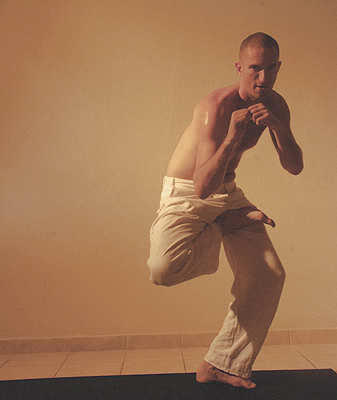 13-michael-ducharme-power-yoga-asana-_crouching-tiger