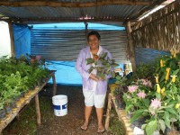 Festival de Flores de Limon de Campana