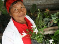 Festival de Flores de Limon de Campana