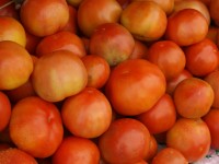 Tomates de Limon de Campana