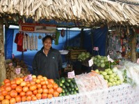 Verduras de Limon de Campana