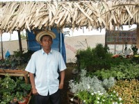 Festival de Flores de Limon de Campana