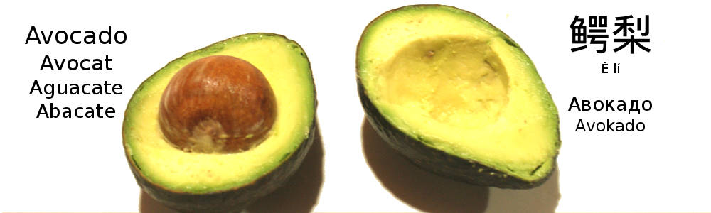 Avocado