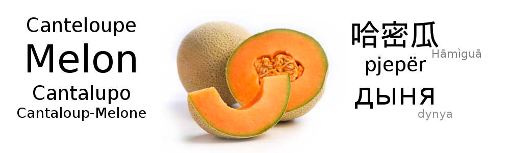 Cantaloupe