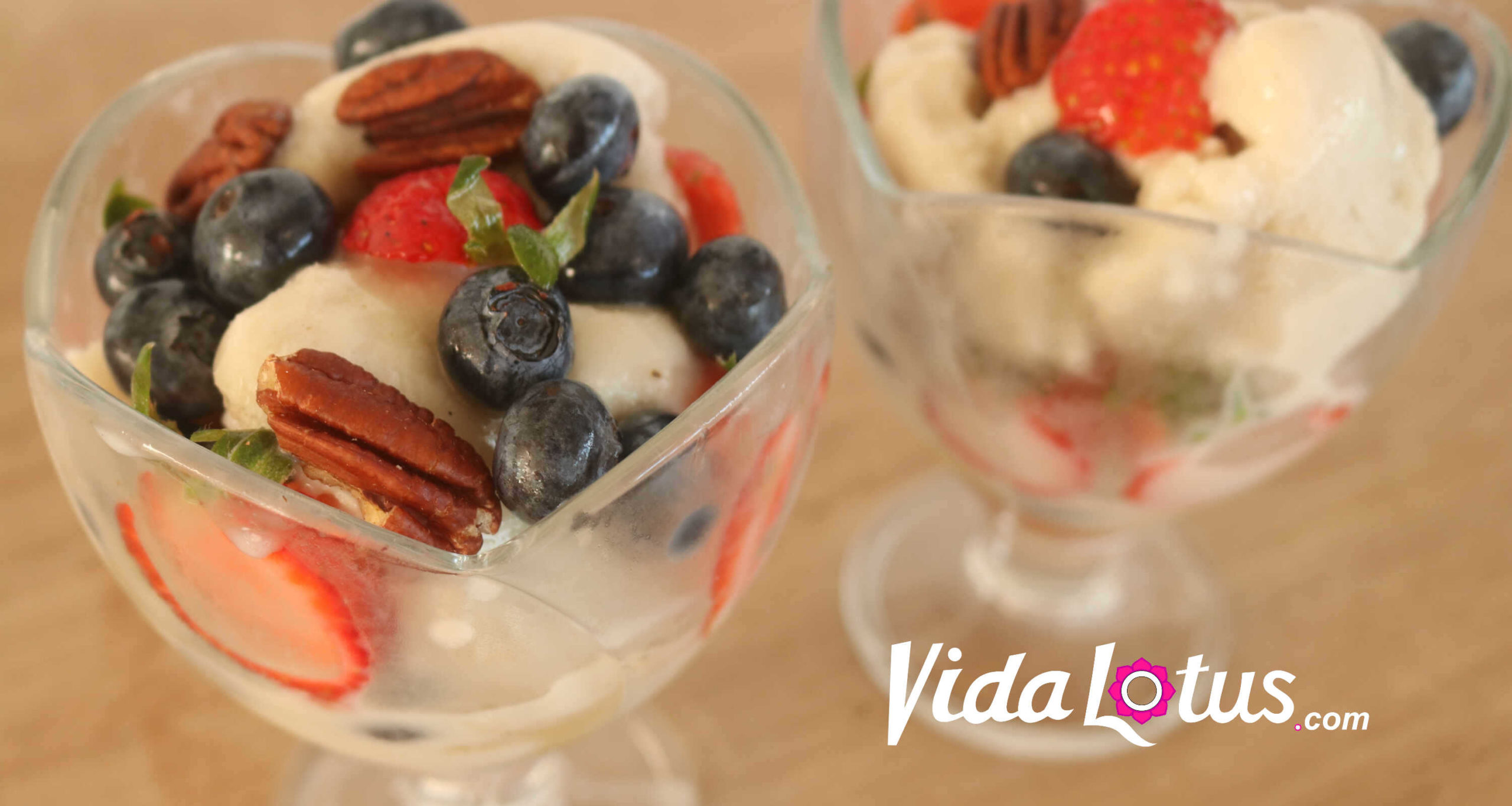 vida lotus raw vegan mixed berry nice cream